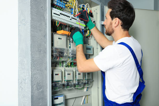 Best Electrical System Inspection  in Elephant Butte, NM